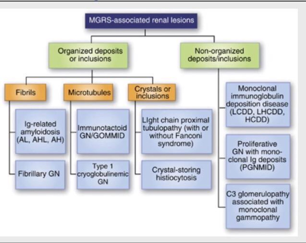 klok ketting Kosten Monoclonal Gammopathy of Renal Significance - SHM Abstracts | Society of  Hospital Medicine